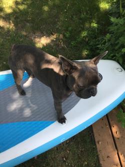 Fundraising Page Image