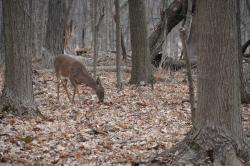 Fundraising Page Image