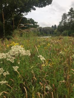 Fundraising Page Image